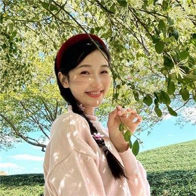 爱尔兰的弗兰克